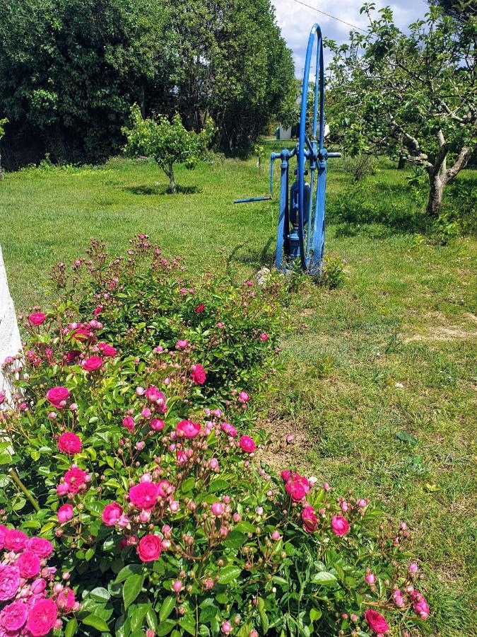 상 마르티뇨 두 포르투 Sondela Self Catering 아파트 외부 사진