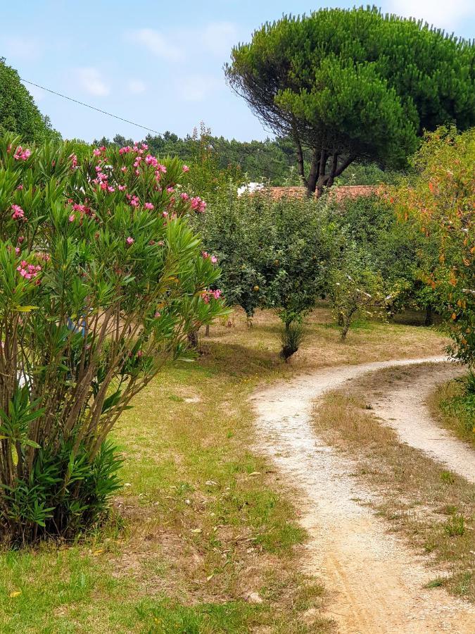 상 마르티뇨 두 포르투 Sondela Self Catering 아파트 외부 사진